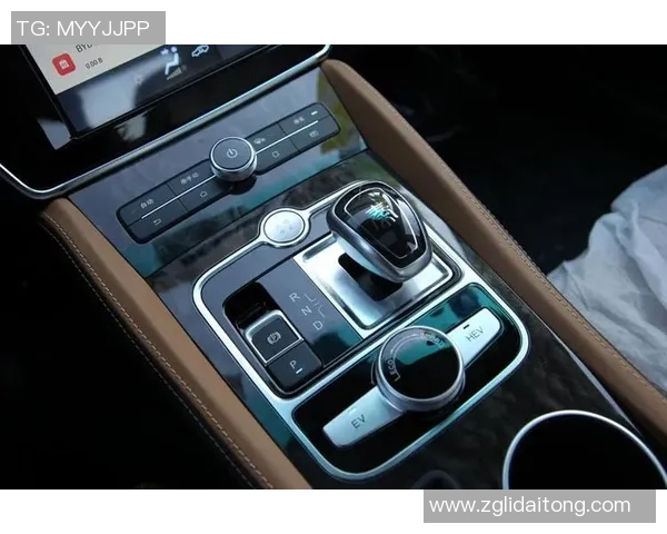 独家解析西安排球队的节奏差异与战术影响分析