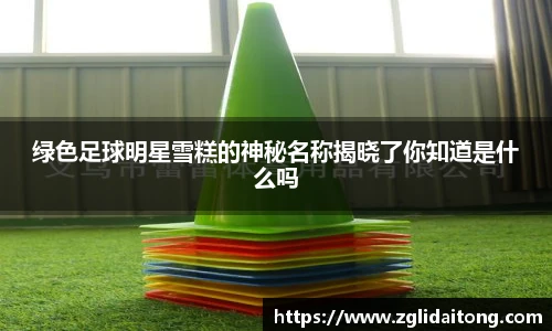 绿色足球明星雪糕的神秘名称揭晓了你知道是什么吗