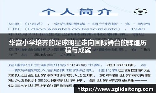 华富小学培养的足球明星走向国际舞台的辉煌历程与成就